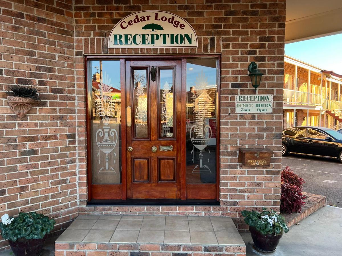 Cedar Lodge Motel Армидейл Екстериор снимка