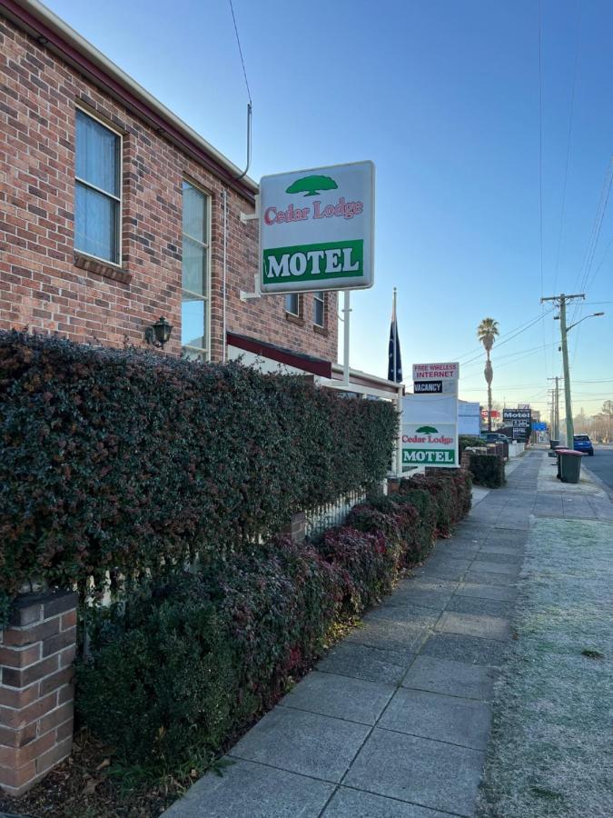 Cedar Lodge Motel Армидейл Екстериор снимка